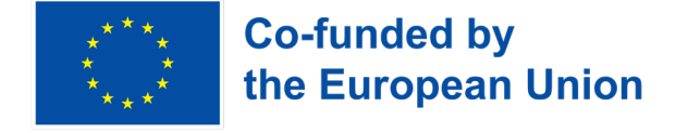 Co-funded by European Union