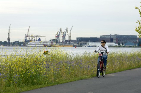 Fietsroute