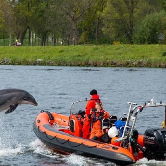 Foto van een tuimelaar in Amsterdam gemaakt door WJ Strietman