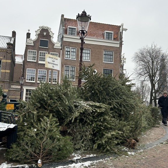 kerstbomeninzameling amsterdam vosse groen recycling