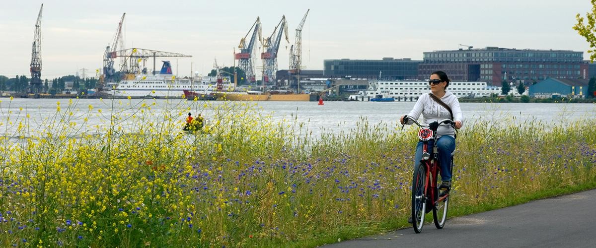 Padden en fietspaden in de Amsterdamse haven
