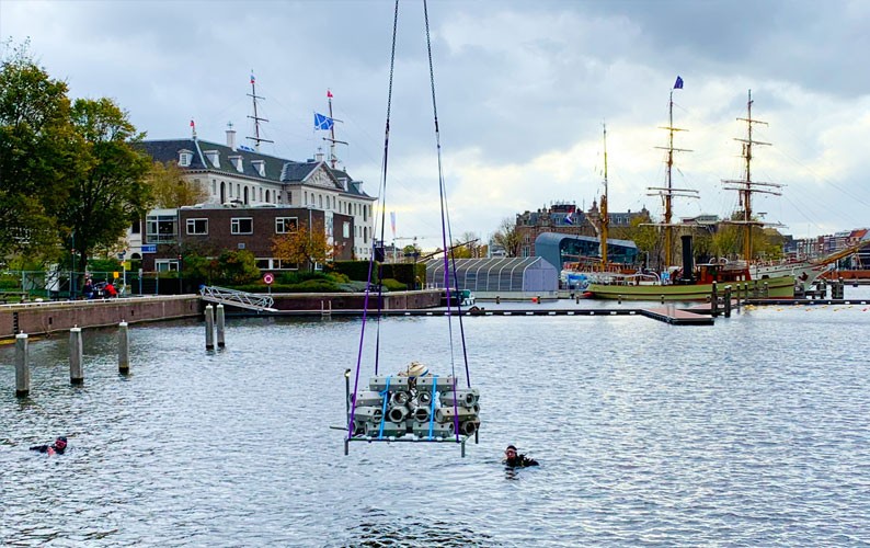 Hoe herstellen we het ecosysteem onder water?