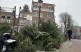 kerstbomeninzameling amsterdam vosse groen recycling