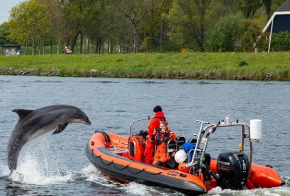 Foto van een tuimelaar in Amsterdam gemaakt door WJ Strietman
