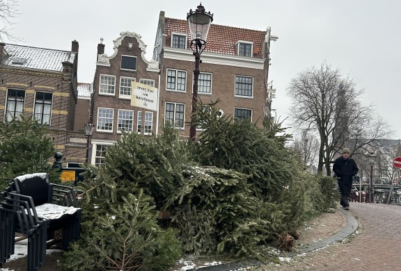 kerstbomeninzameling amsterdam vosse groen recycling