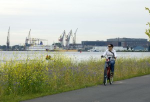 Fietsroute