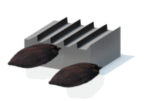 Cacao