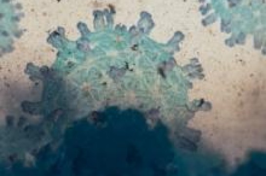 Corona virus