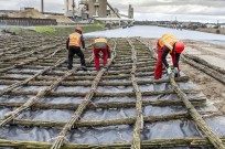 bodembescherming Zeesluis IJmuiden