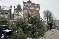 kerstbomeninzameling amsterdam vosse groen recycling